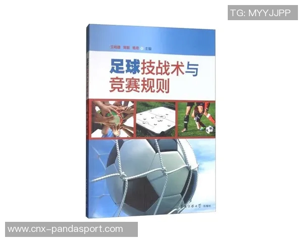 全面解读足球竞赛规则及其对比赛公平性的影响与重要性分析