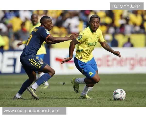 巴西足球队成员的传奇故事与他们的辉煌成就解析